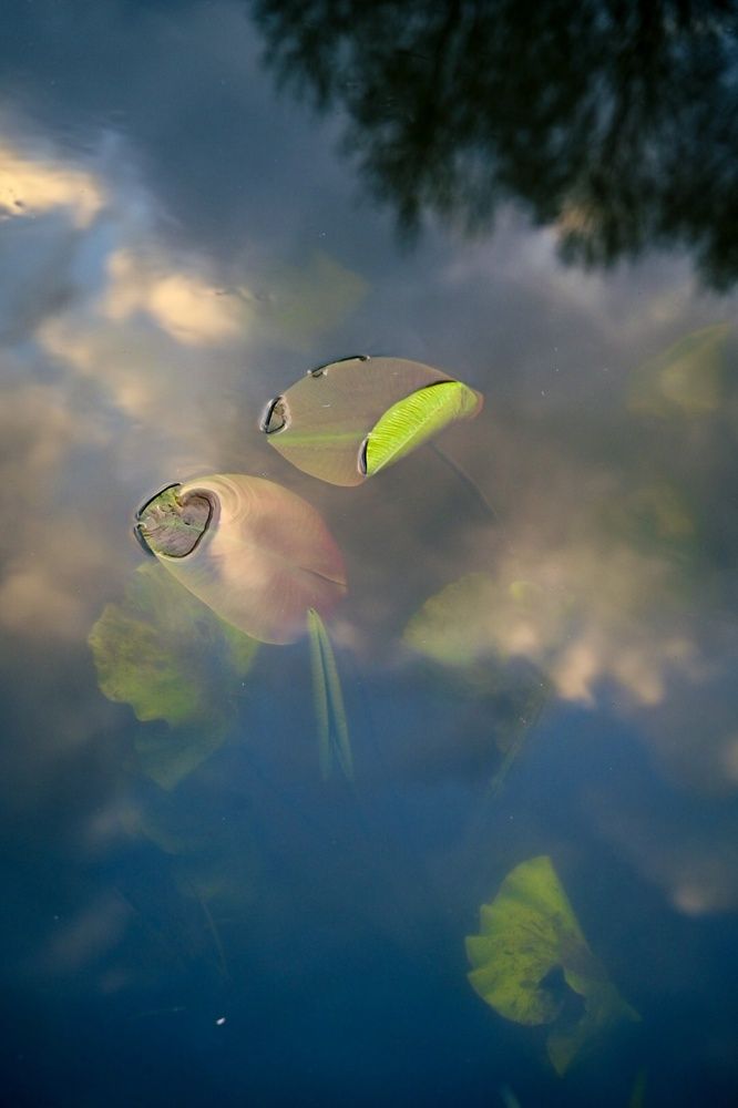 Photograph by Наталья Сергеева