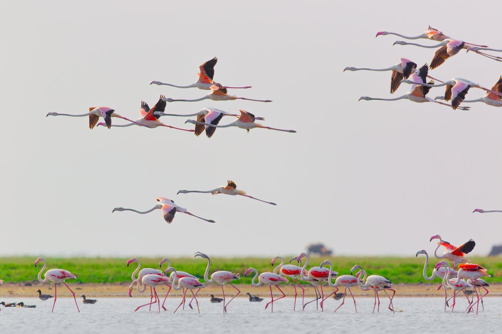 Photograph by Abhisek Acharya