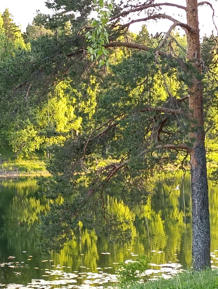 Photograph by Шумар Михайлович