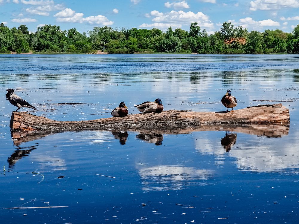 Photograph by Liudmila Kirillova