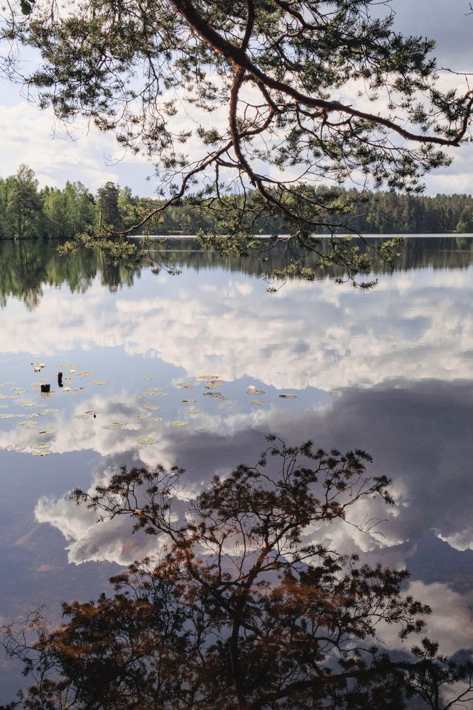 Фотография автора Ярослав Качура