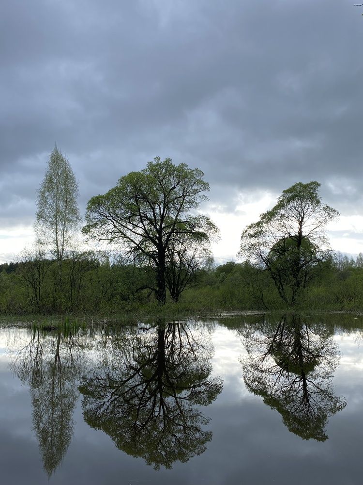 Photograph by Светлана Долганова