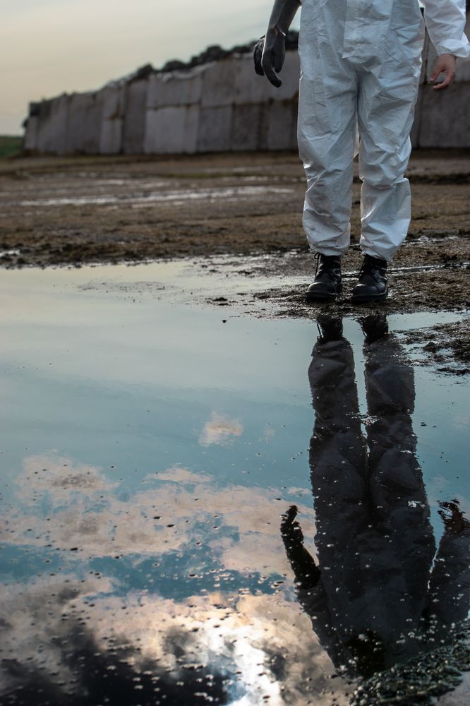 Photograph by Алиса Глыбоцкая