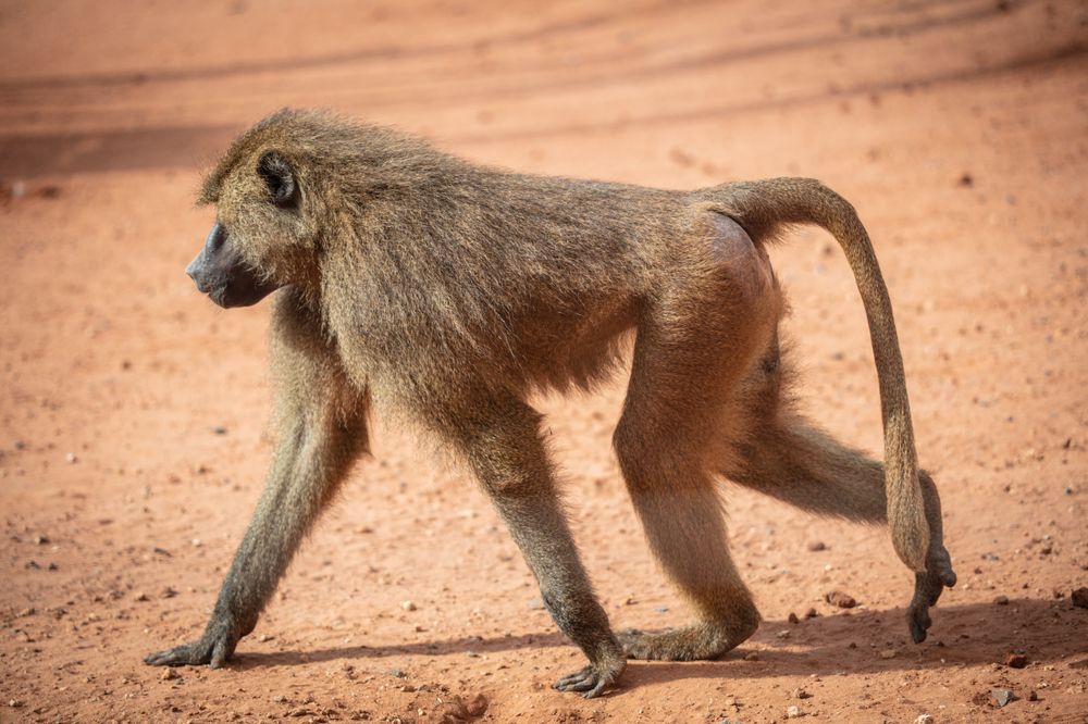 Photograph by SOUFIANE EL KADAOUI