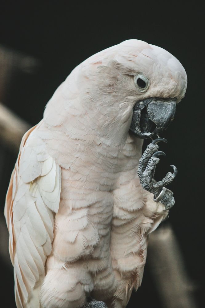 Photograph by SOUFIANE EL KADAOUI