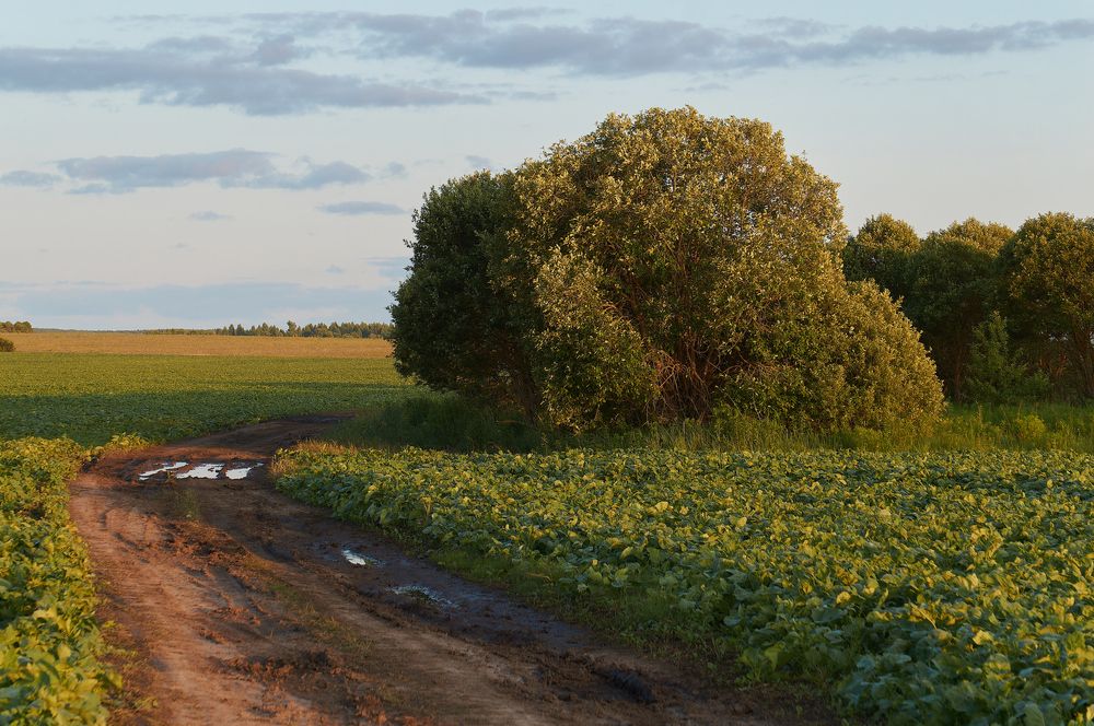 Photograph by Николай Михайлов