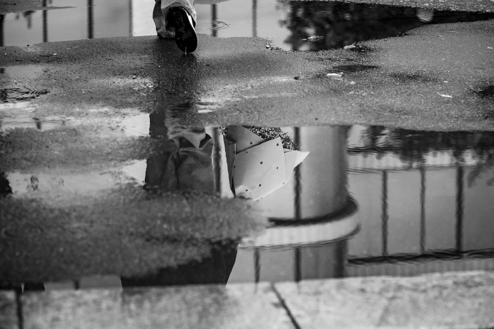 Photograph by Елена Барышева