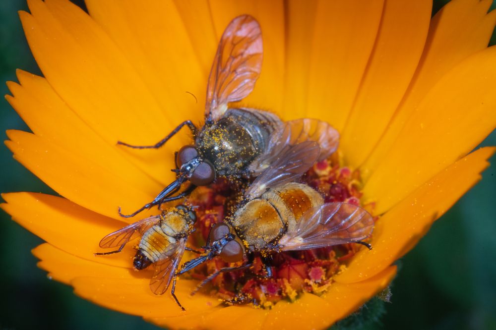 Photograph by SOUFIANE EL KADAOUI