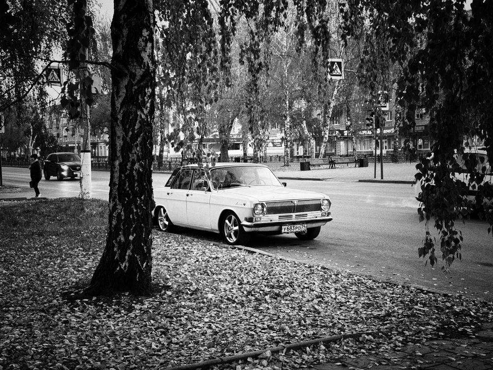 Photograph by Лариса Кузнецова