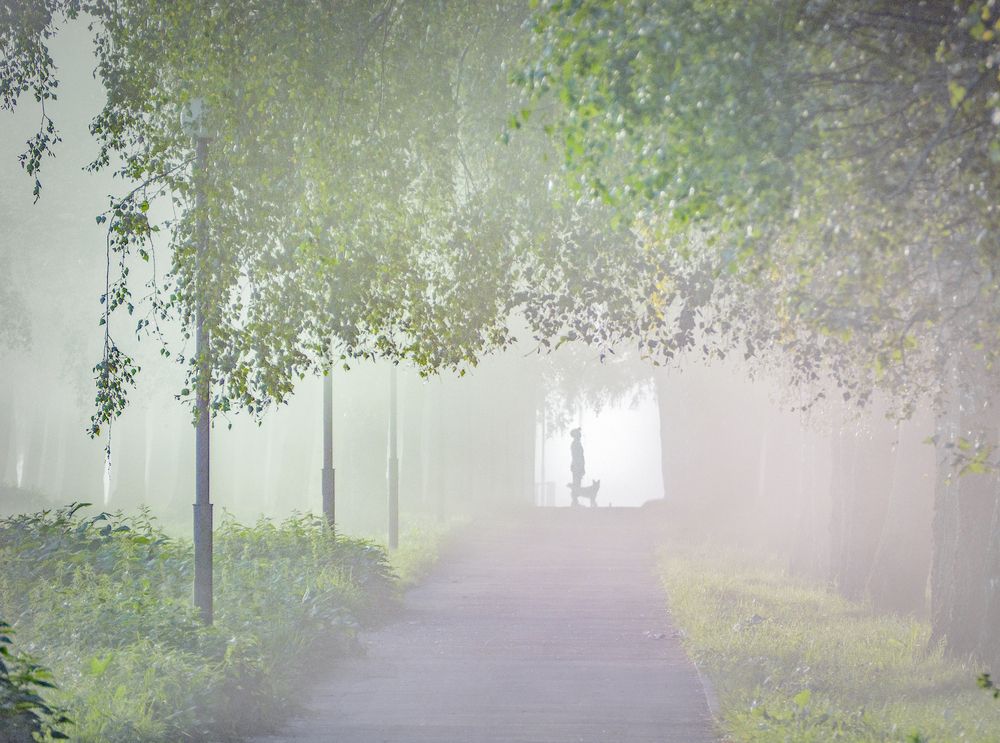 Photograph by Иван Труфанов