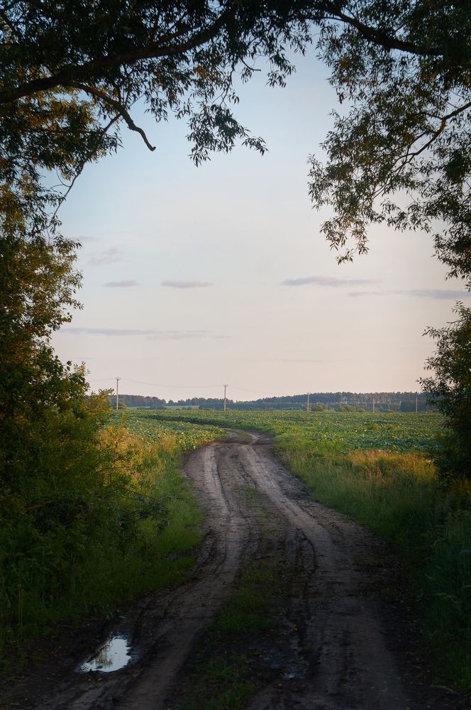 Photograph by Николай Михайлов
