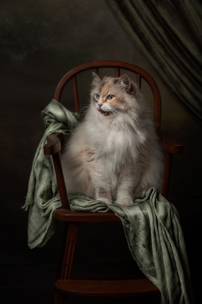 Photograph by Gertrude Goené
