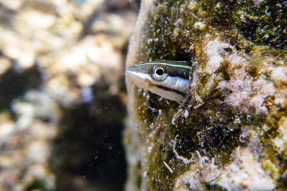 Photograph by Борис Лишневский