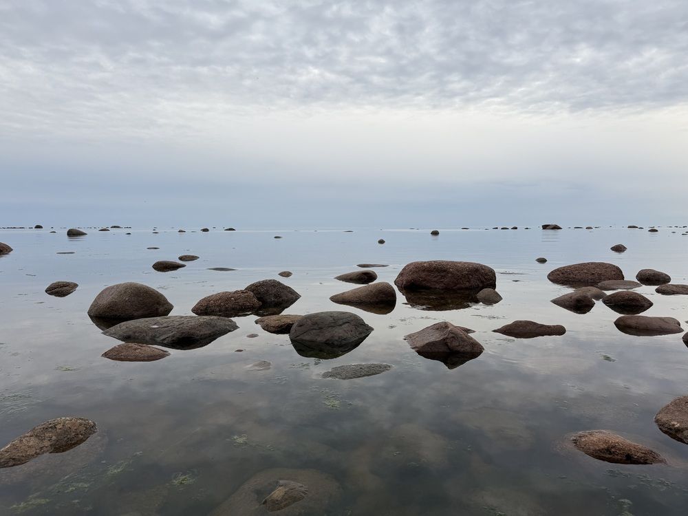 Photograph by Бондаренко Светлана