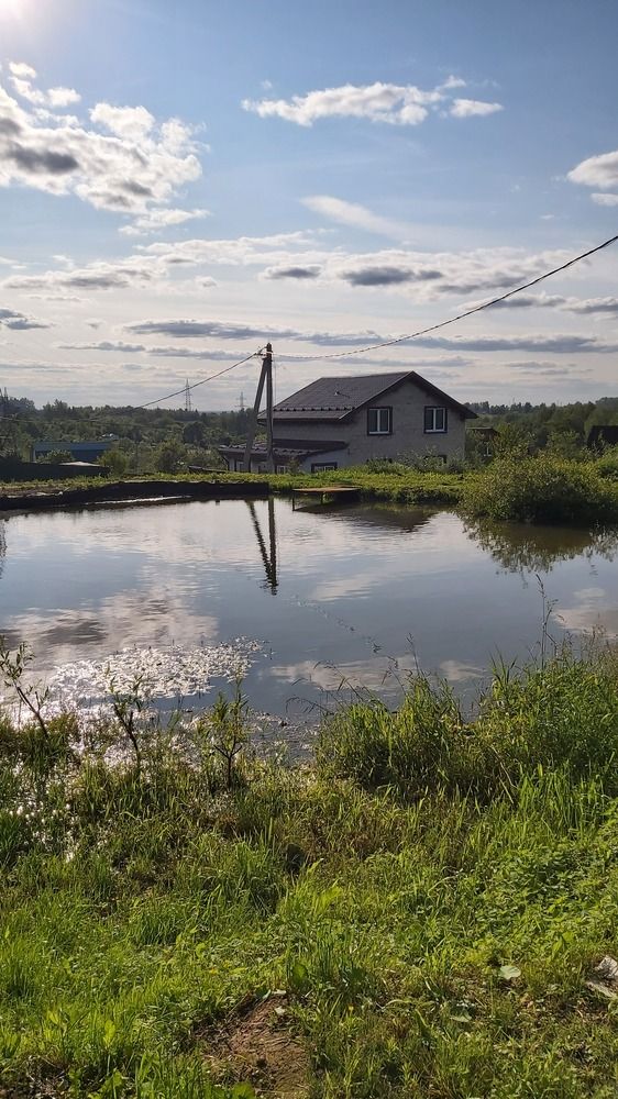 Фотография автора Евгений Лебедев