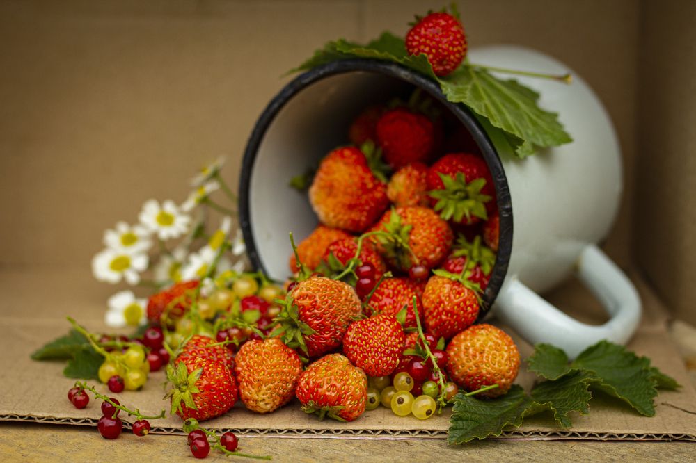 Photograph by Елена Фатьянова