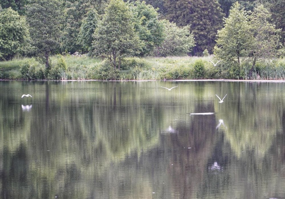 Photograph by Марина Безенкина