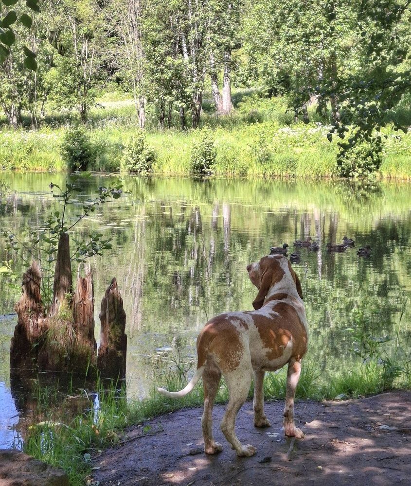 Photograph by Марина Безенкина