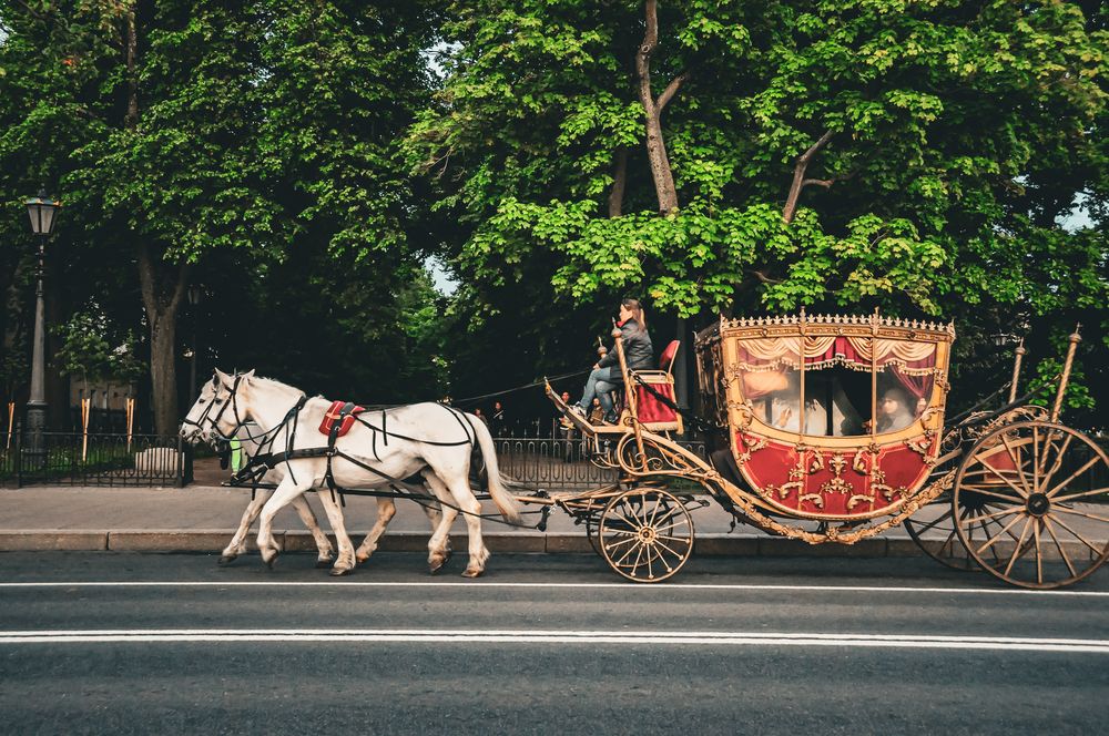 Фотография автора Елизавета Синицына