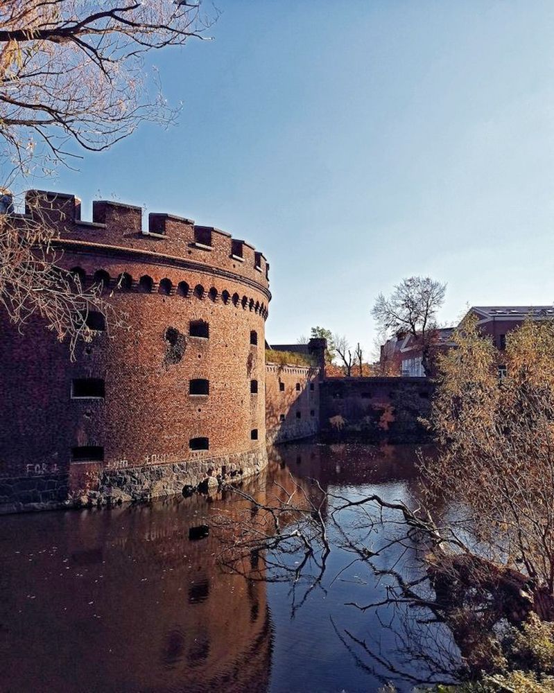 Photograph by Дина Полухина