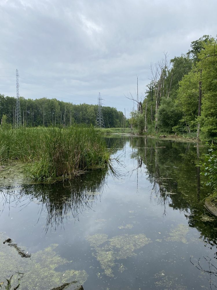 Photograph by NATALJA ROGALOVA