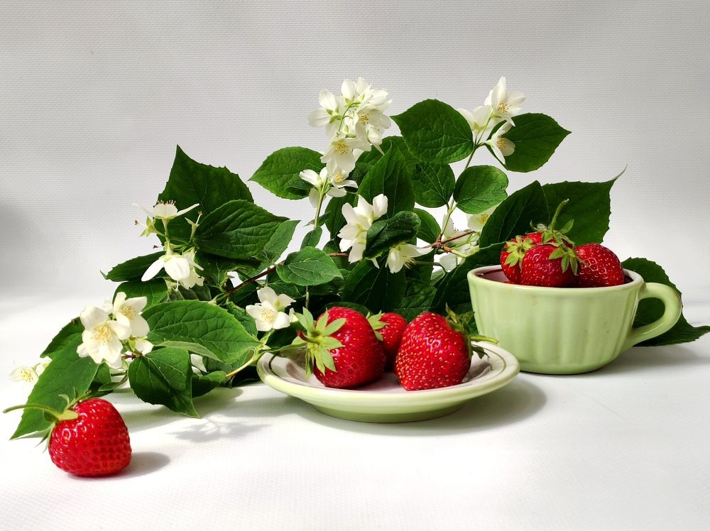 Photograph by Надежда Батракова