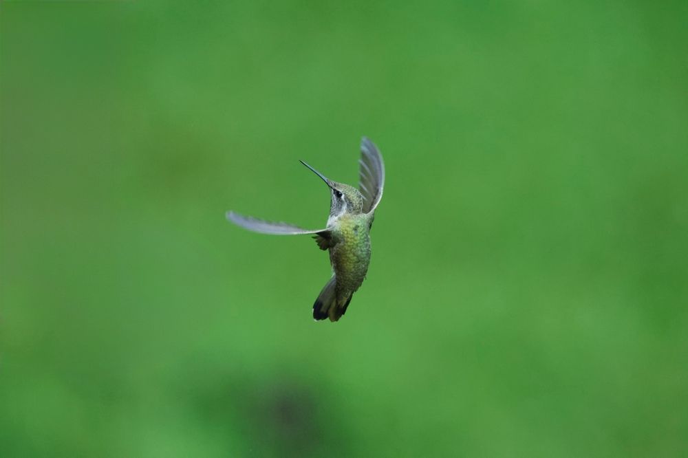 Фотография автора Binh Khiem Nguyen