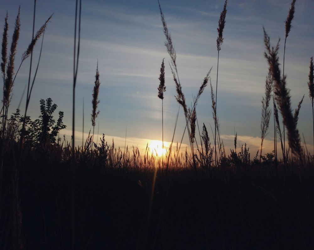 Photograph by Елена Фурашова