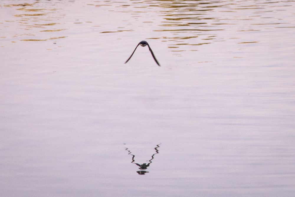 Фотография автора Лада Еремеева