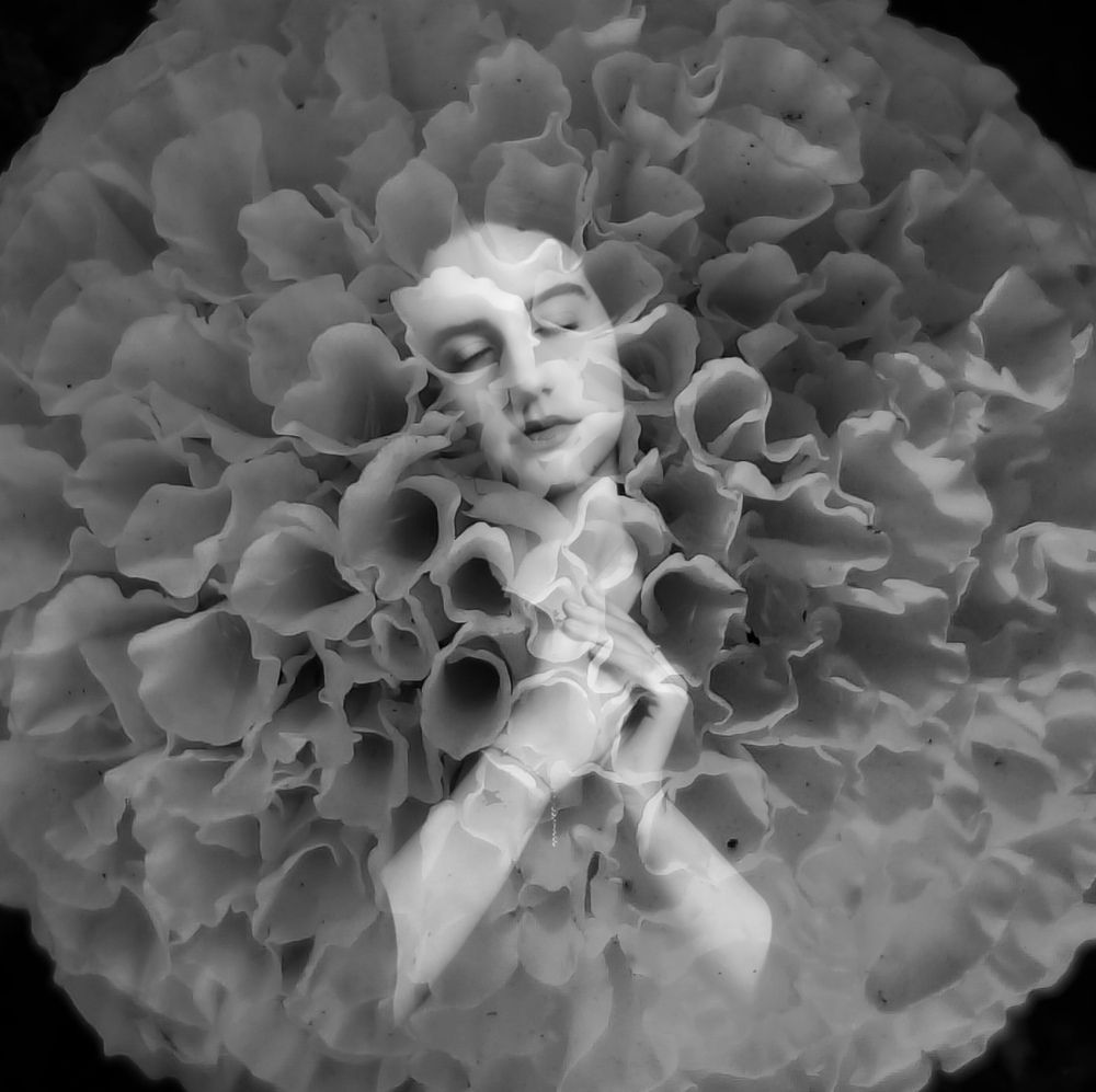 Photograph by Grădinaru Catalin