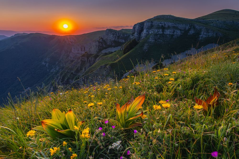 Photograph by Сергей Гук