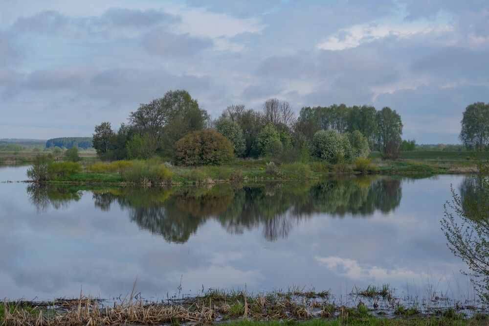 Photograph by Алфия Бугакова