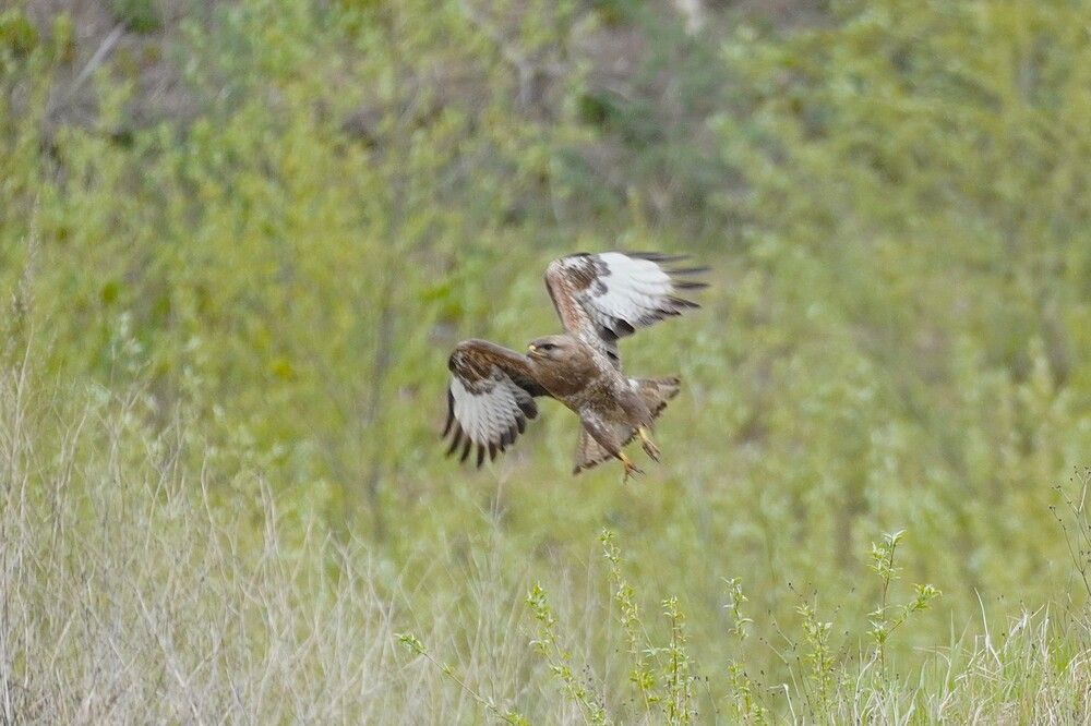 Photograph by Алфия Бугакова