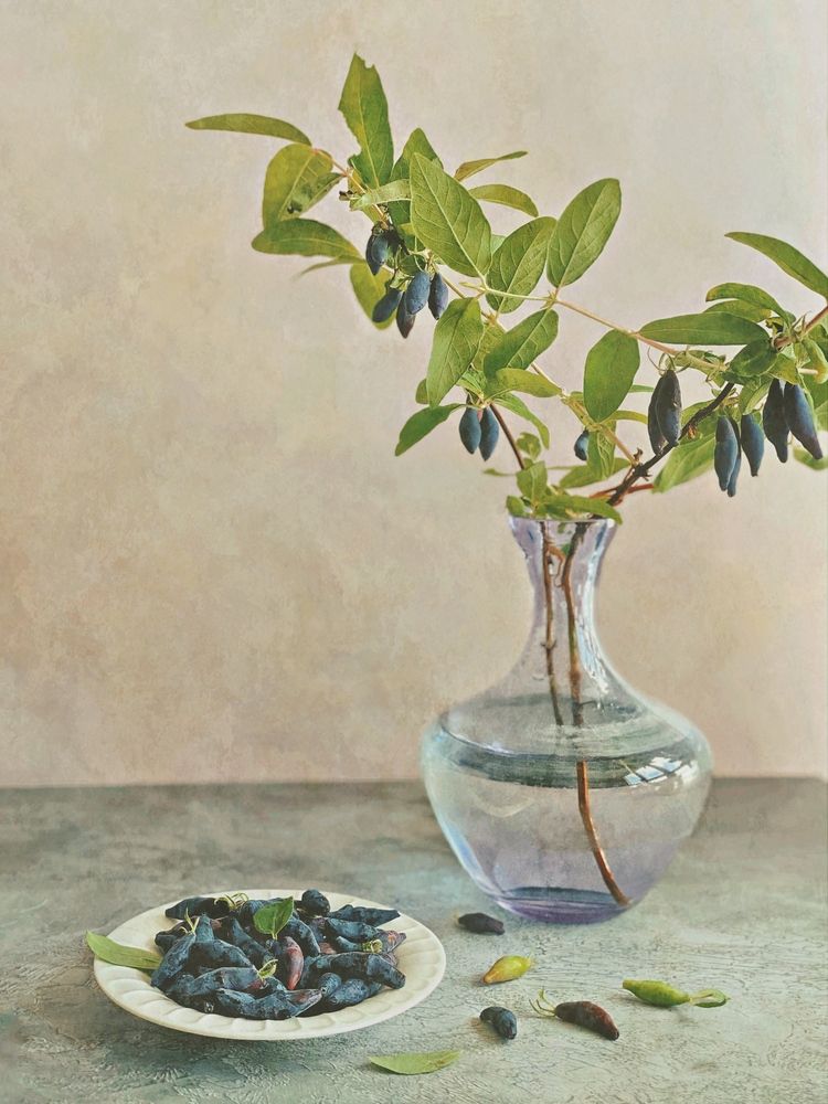 Фотография автора Евгения Никишина