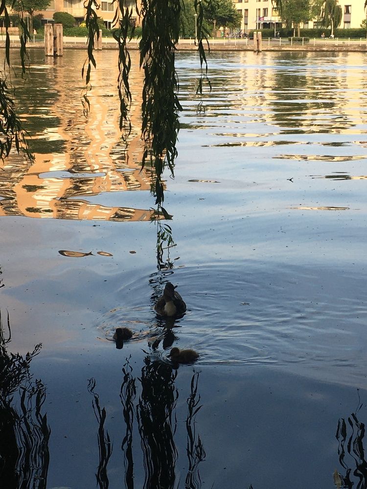 Photograph by Luisa Manzano