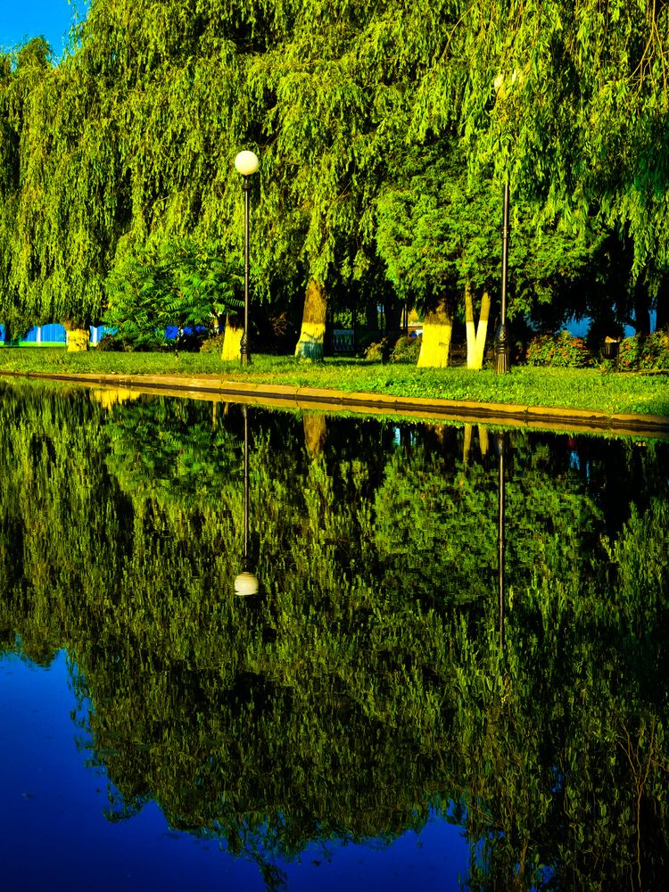 Photograph by Татьяна Гуцанович