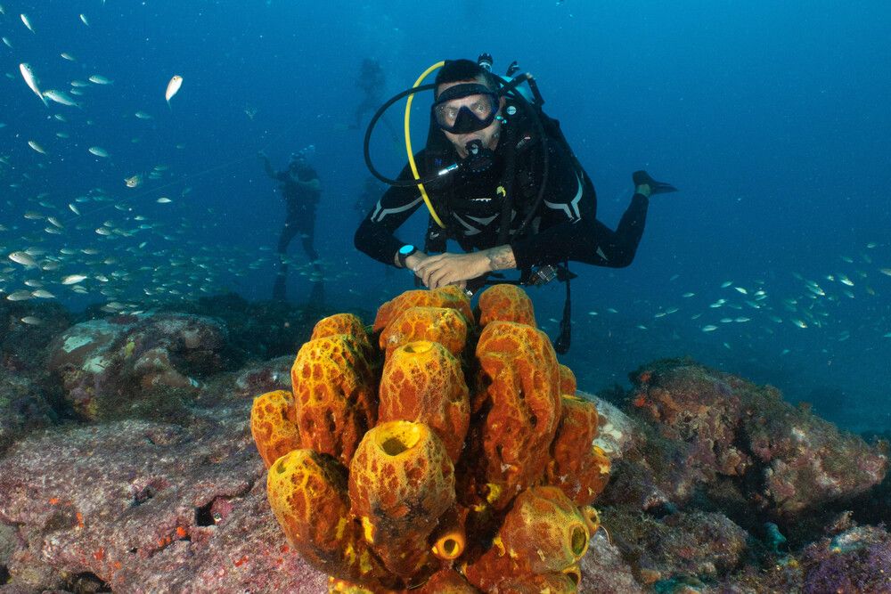 Photograph by Alexandre