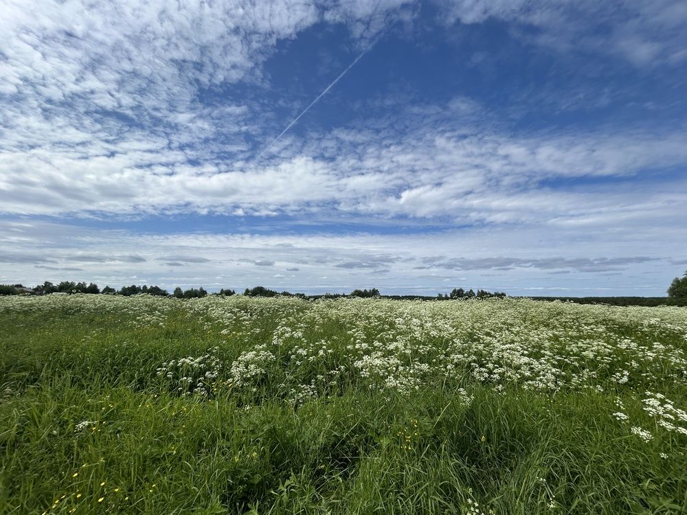 Photograph by Дмитрий Захаров