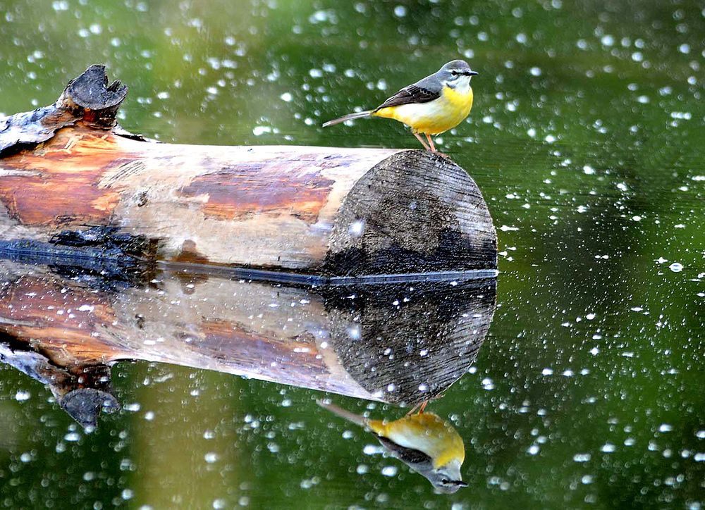 Photograph by Михаил Белоусов