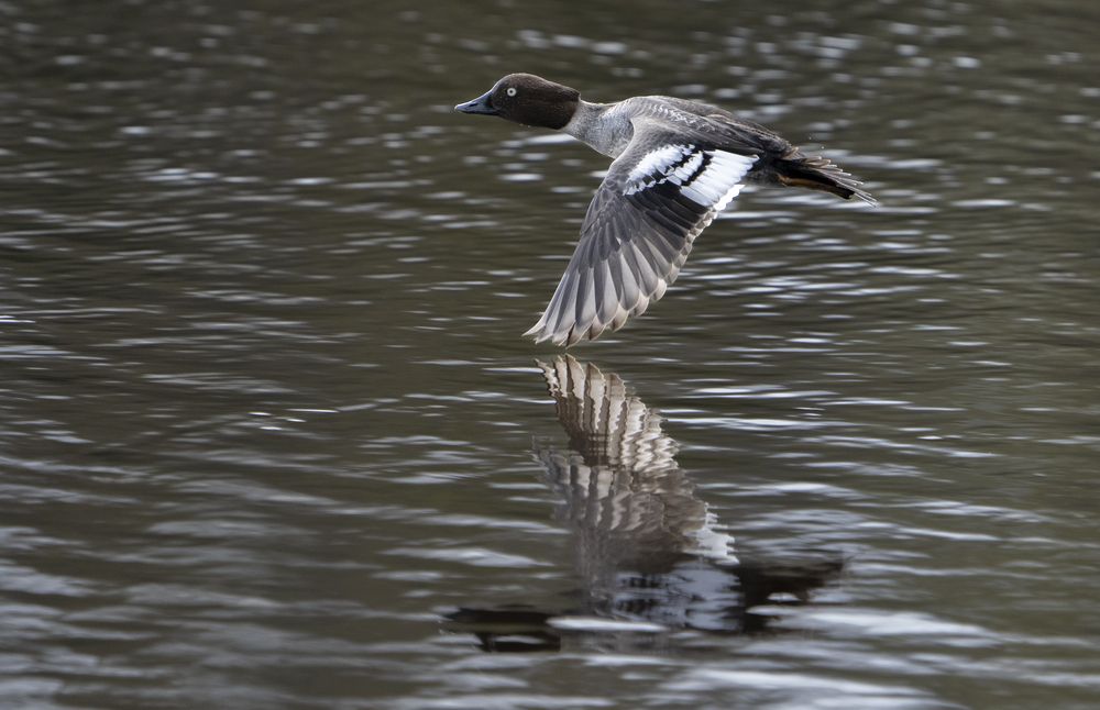 Photograph by Puum Mati