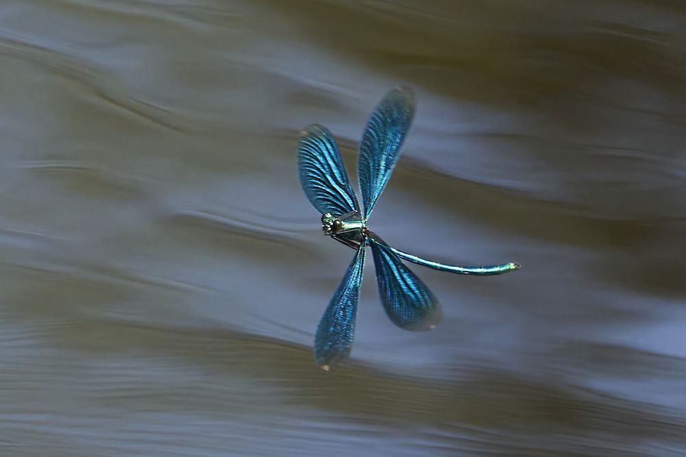 Photograph by Puum Mati