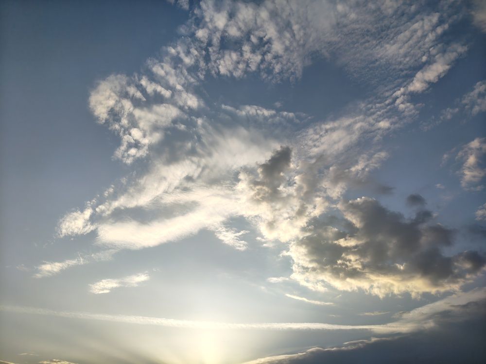 Photo #12314996