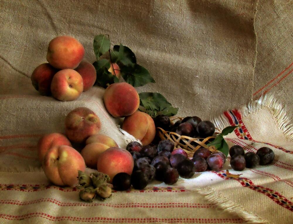 Фотография автора Роман Савоцкий