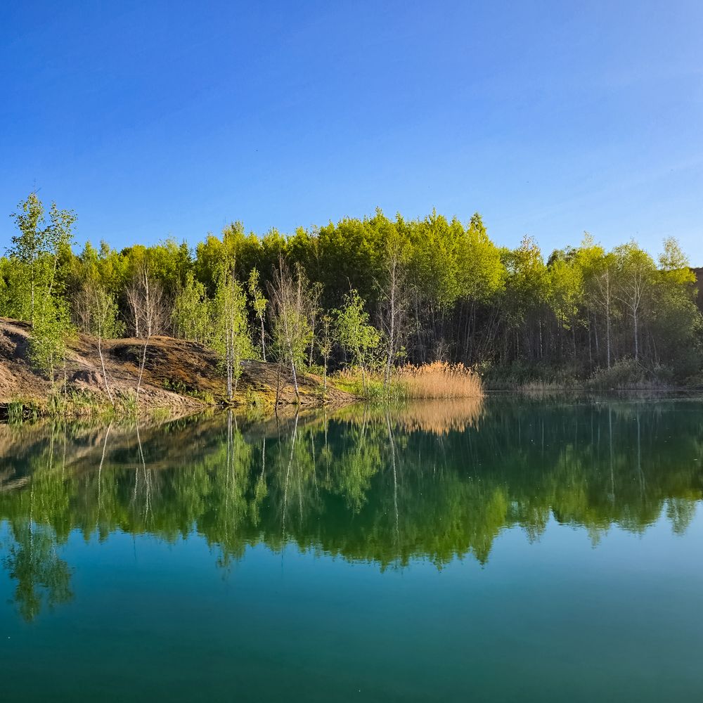 Фотография автора Нина Зинченко