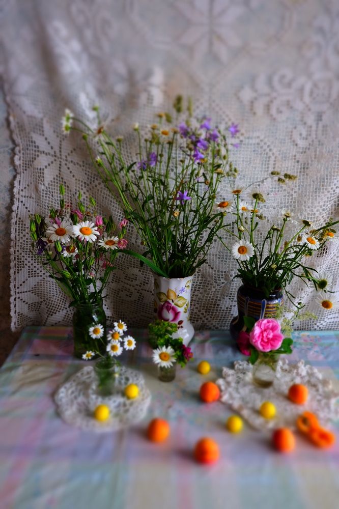 Photograph by Екатерина Хозяшева