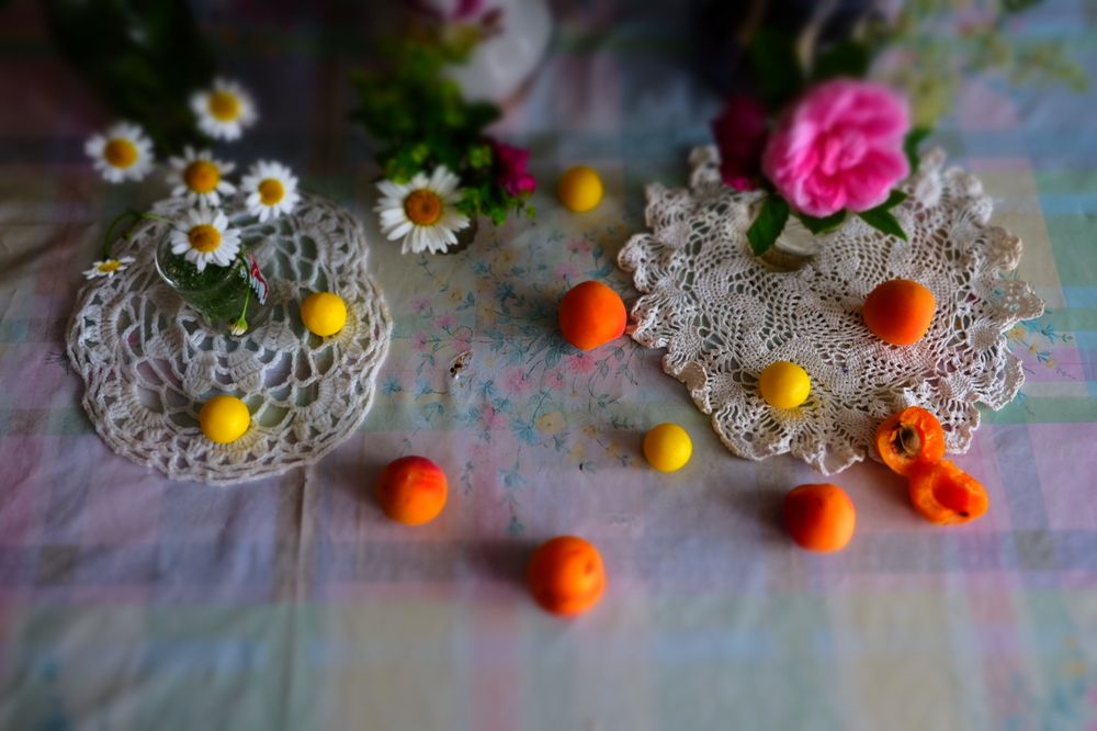 Photograph by Екатерина Хозяшева