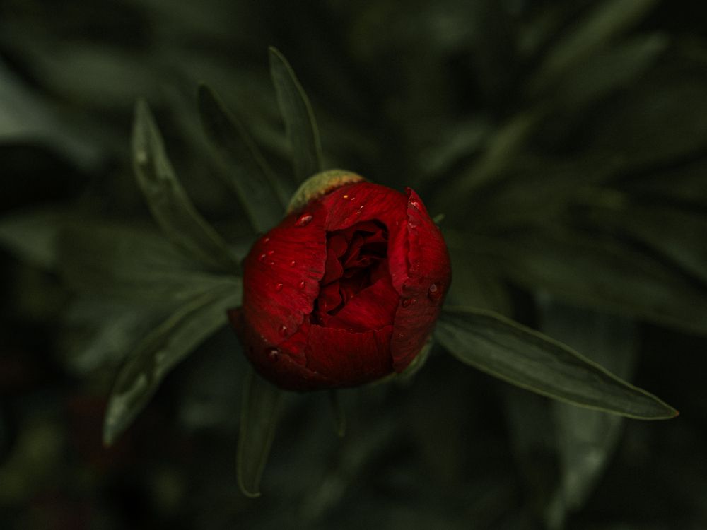 Photograph by Людмила