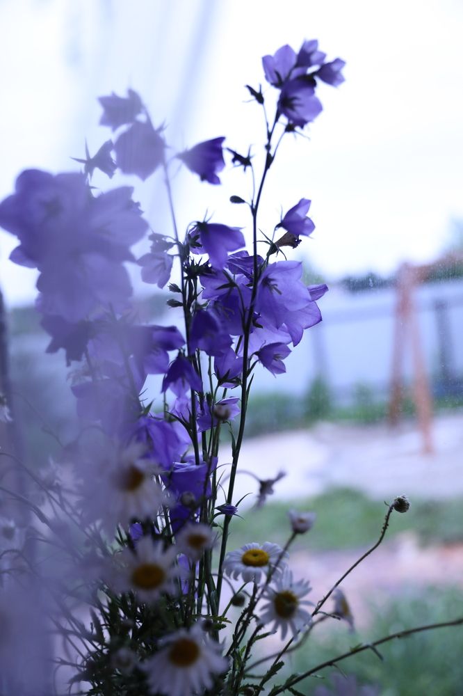 Photograph by Светлана Тен