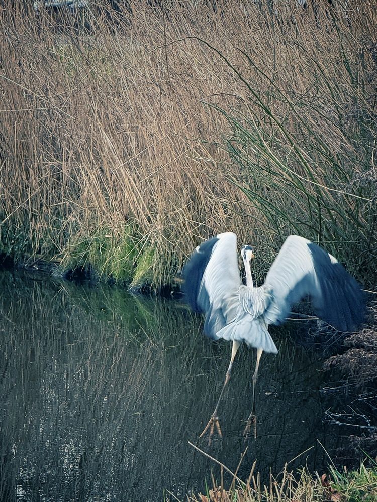 Photograph by Лидия Готовец