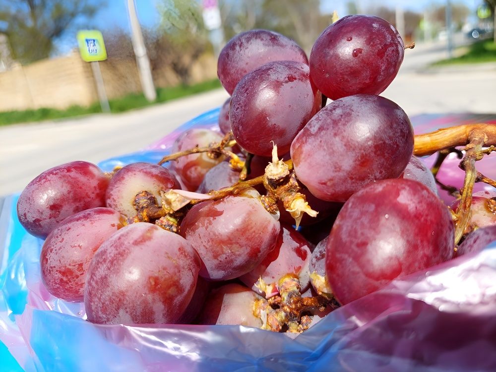 Фотография автора Анатолий Дячина